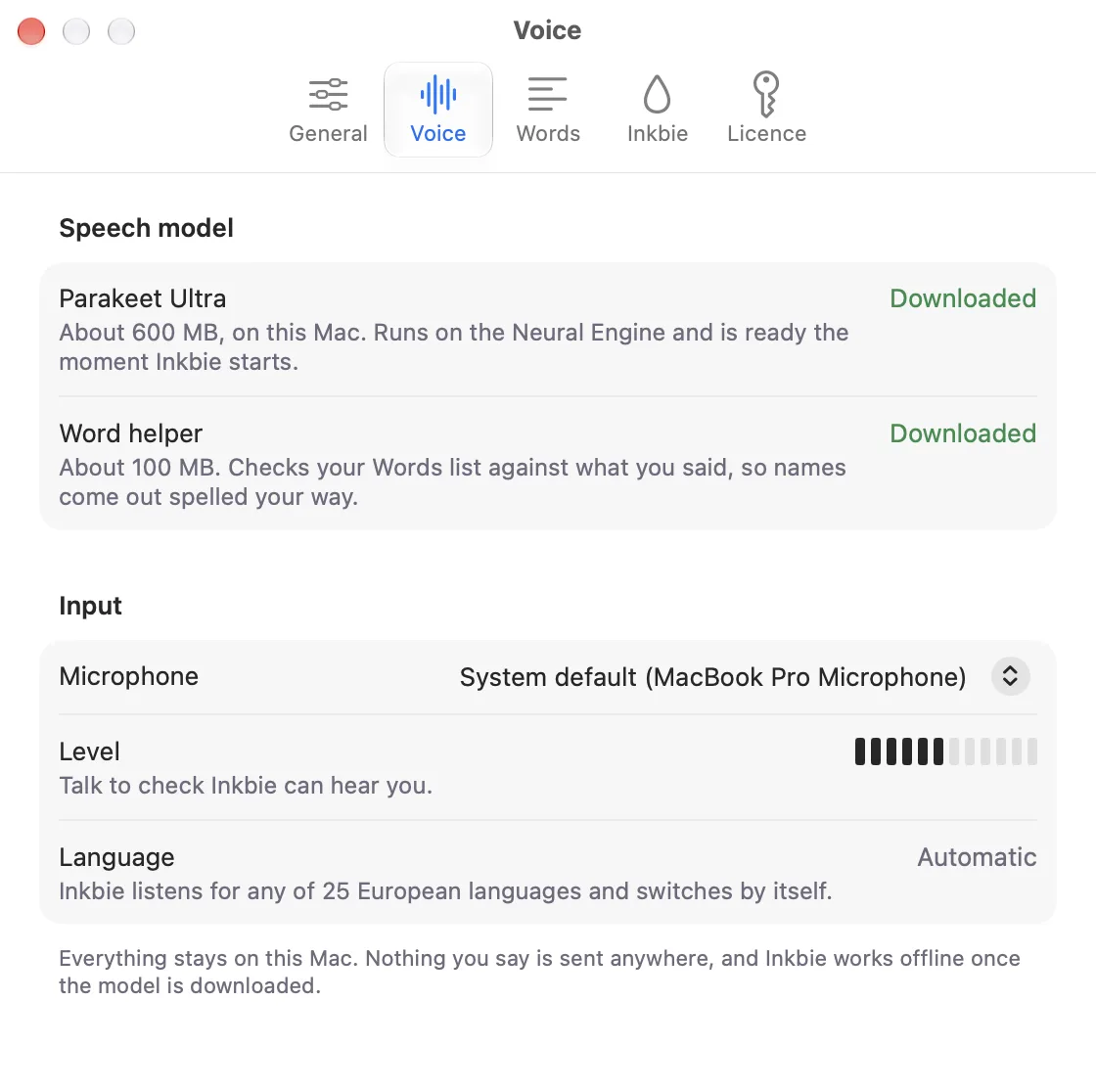 Inkbie Settings, Voice tab: the speech model and the word helper, both on this Mac